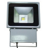 PT-FL70W LED Flood Lamp/led flood light/led flood lighting