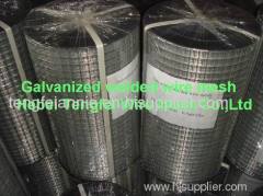 Electro galvanized welded wire mesh (manufacturer)