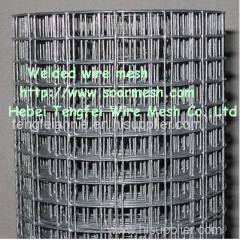 Hot dipped galvanized welded wire mesh ( FACTORY )