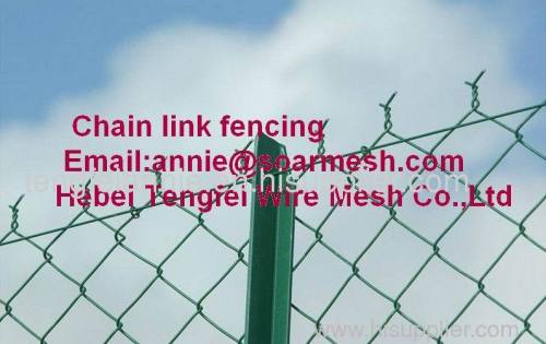 Chain link fencing