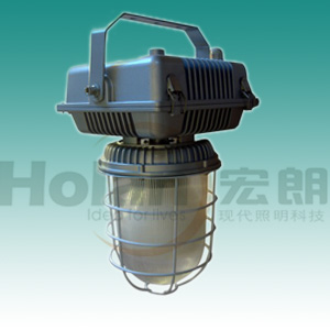 induction lamp for explosion-proof light