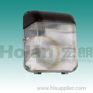 induction lamp for wall light