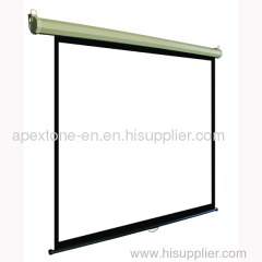 APEXSCREEN AP-SC010 Crystal Selflock Screen