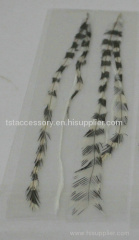 Grizzly feather hair extension