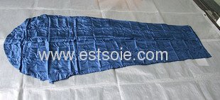 2011 latest fashion silk sleeping bag