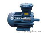 YB2-W series motor