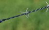 Barbed Iron Wire