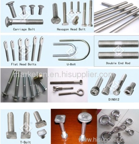 stainless steel bolts(hex, stud, T, U, carriage...)
