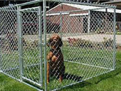 Dog kennel,dog house,pet house