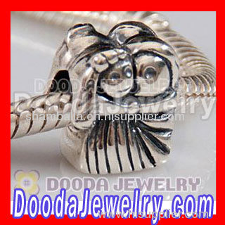 sterling silver european charms