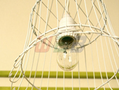 Laboratory Wire Baskets