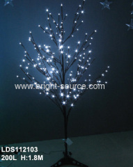 outdoor lighting branch