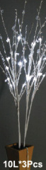 light branch