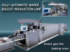Wafer Tunnel Baking Machine for Wafer Line