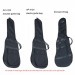 APEXTONE Electric guitar bag AP-4105 AP-4104 Acoustic guitar bag