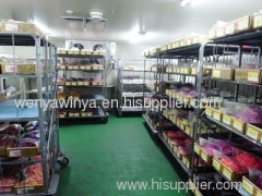 food cold storage