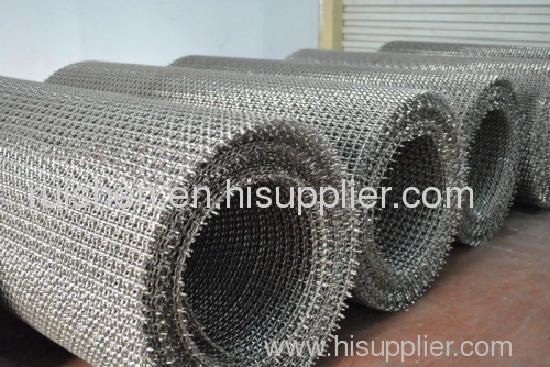 stainless steel crimped wire netting