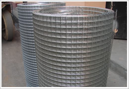 Galvanized Welded Wire Mesh