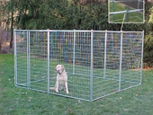 big welded wire dog kennels