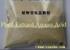 Sulfate Compound Amino Acids