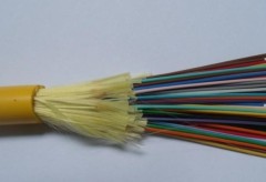 Multi Purpose Indoor DIstribution Cable(GJFJV 48C)
