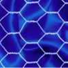 Galvanized Hexagonal Wire Netting