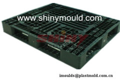 Shiny Mould-Pallet Mould