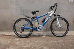 CE approval electric bicycle