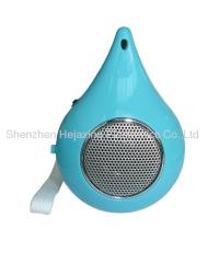 Portable speaker with audio decording