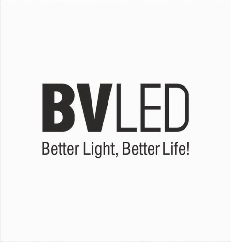 Bright Vision Opto-electrical Technology Co.,LTD