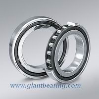 Cylindrical Roller Bearings