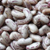 Light speckled kidney bean