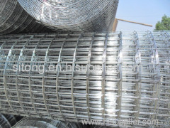 welded wire mesh