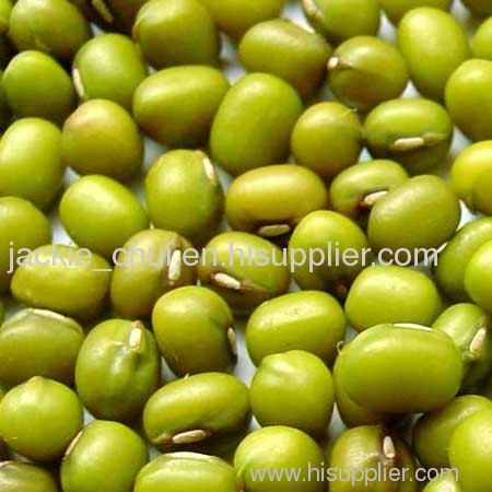 Organic mungbean