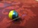 paintball balls