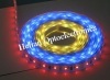 waterproof SMD Led Flexible Strip Light, led flexible strip light provided by LED flexible strip light manufacturer