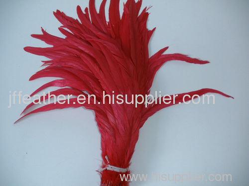 Cock feather