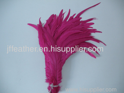 Cock feather