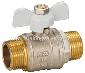 Male x Male water valve