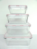 Borosilicate Square Food Storage Container Set