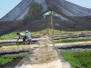 agricultural shade nets