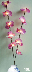 Orichid flower light branch, flower light