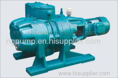 Roots vacuum pump series