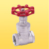 Gate Valve