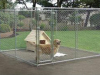WEB dog crate