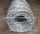 Galvanized Barbed Wire (factory)