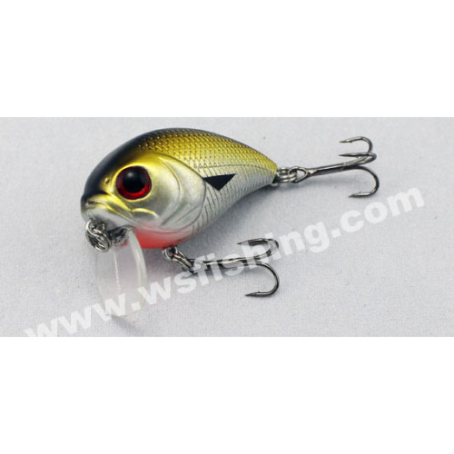 Crankbaits, Hard Baits, Fishing Lures