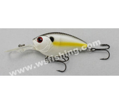 Crankbaits, Plastic Hard Baits, Fishing Lures