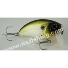 Crankbaits, Plastic Hard Baits, Fishing Lures