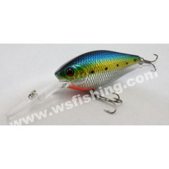 Crankbaits, Plastic Hard Baits, Fishing Lures